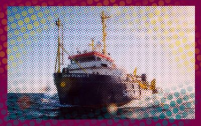 Gegen die Unmenschlichkeit der Bundesregierung- für einen Aufschrei der Menschlichkeit